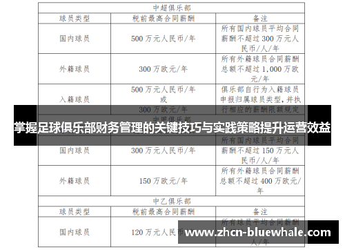 掌握足球俱乐部财务管理的关键技巧与实践策略提升运营效益
