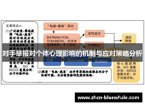 对手举报对个体心理影响的机制与应对策略分析