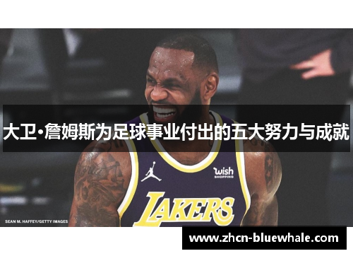 大卫·詹姆斯为足球事业付出的五大努力与成就