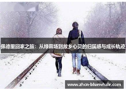 佩德里回家之旅：从绿茵场到故乡心灵的归属感与成长轨迹