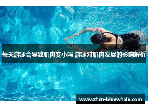 每天游泳会导致肌肉变小吗 游泳对肌肉发展的影响解析