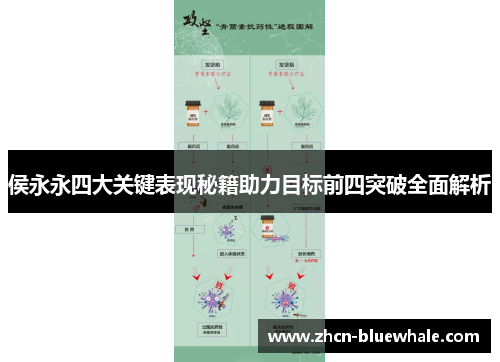 侯永永四大关键表现秘籍助力目标前四突破全面解析