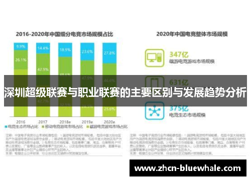 深圳超级联赛与职业联赛的主要区别与发展趋势分析