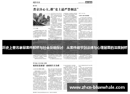 历史上著名家暴案件解析与社会反响探讨：从案件细节到法律与心理层面的深度剖析