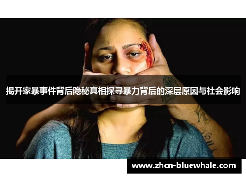揭开家暴事件背后隐秘真相探寻暴力背后的深层原因与社会影响