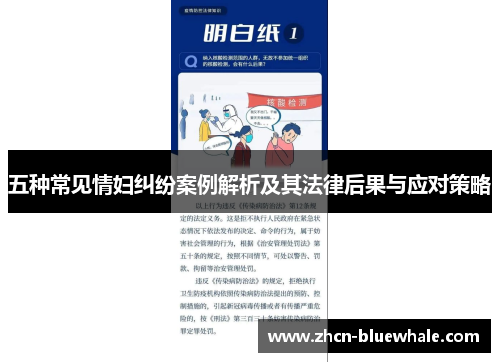 五种常见情妇纠纷案例解析及其法律后果与应对策略
