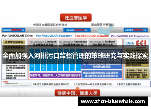 全面加强入河排污口监督管理的策略研究与实践探索