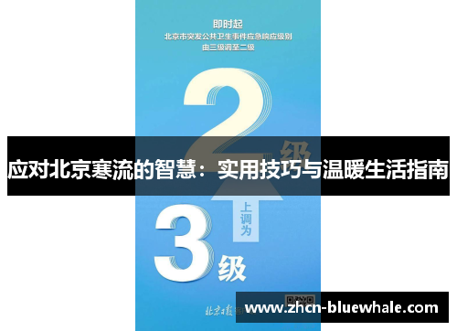 应对北京寒流的智慧：实用技巧与温暖生活指南