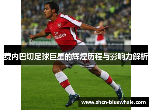 费内巴切足球巨星的辉煌历程与影响力解析