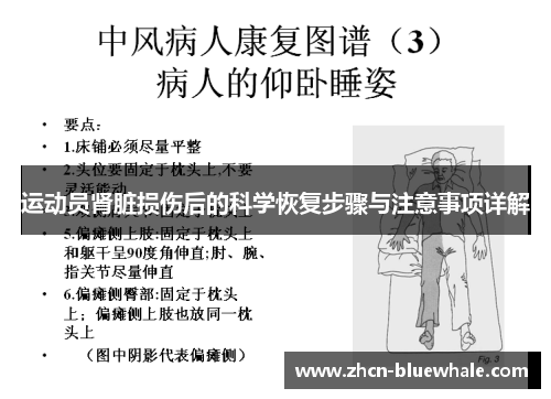 运动员肾脏损伤后的科学恢复步骤与注意事项详解