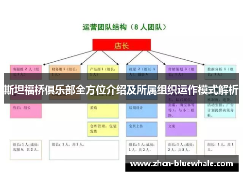 斯坦福桥俱乐部全方位介绍及所属组织运作模式解析